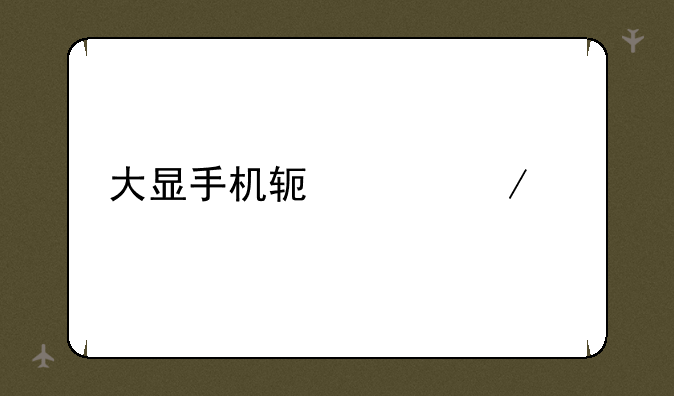 大显手机软件下载