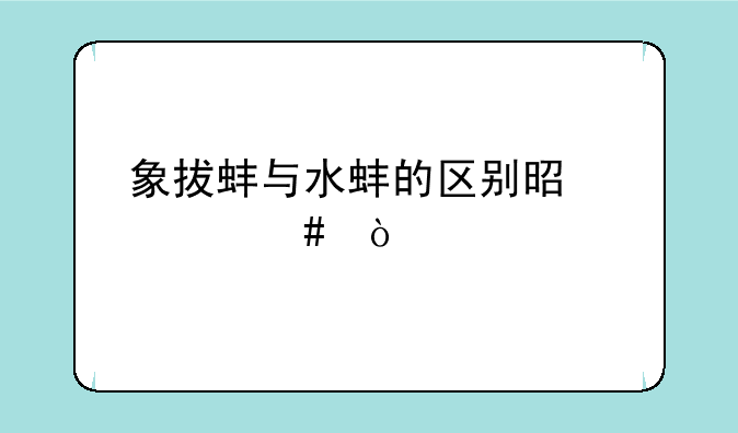 象拔蚌与水蚌的区别是什么？