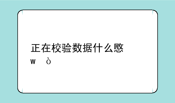 正在校验数据什么意思？