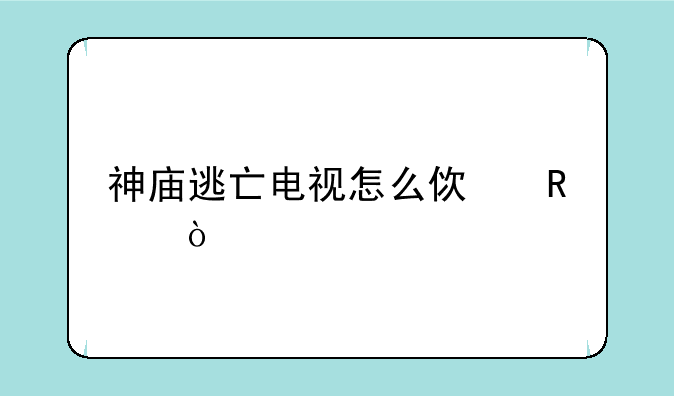 神庙逃亡电视怎么使用？