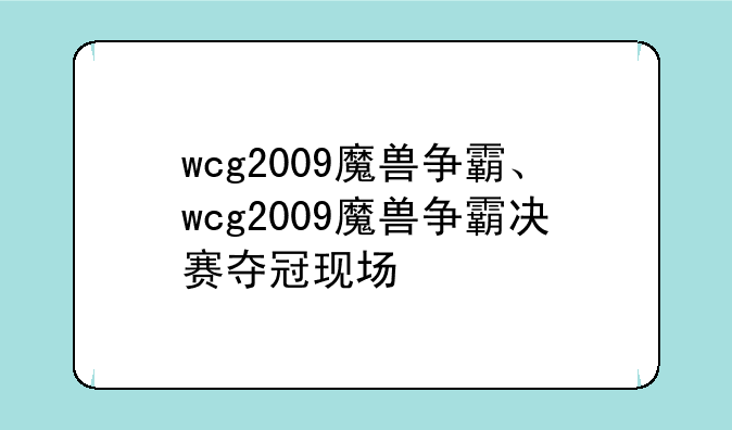 wcg2009魔兽争霸、wcg2009魔兽争霸决赛夺冠现场