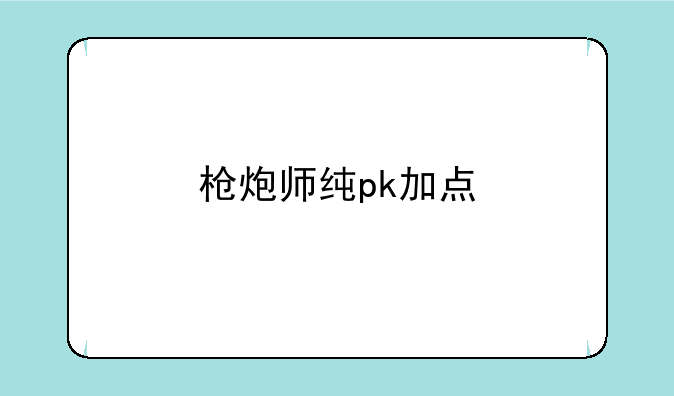 枪炮师纯pk加点