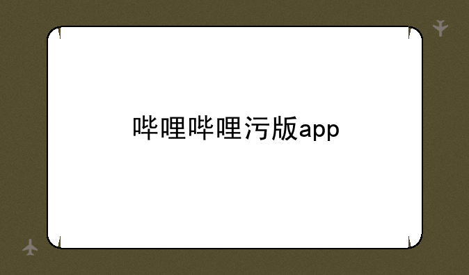 哔哩哔哩污版app