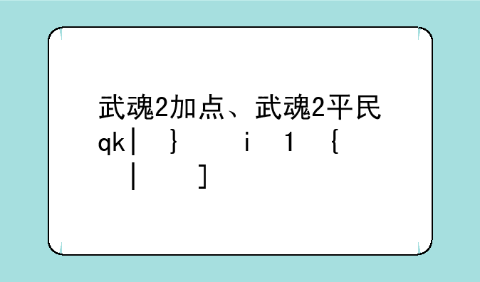 武魂2加点、武魂2平民输出最高职业