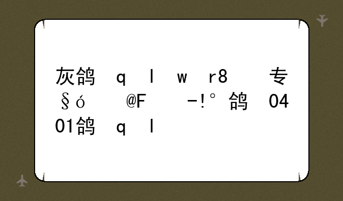 灰鸽子黑防专版下载--灰鸽子2005黑防版